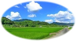 tanbo-hari.jpg